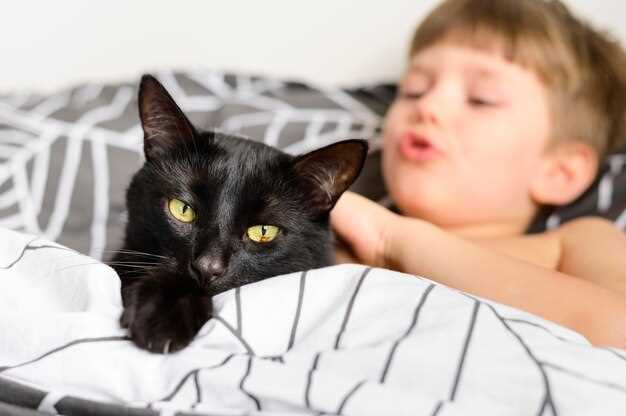 Аллергия на эпителий кошки у ребенка: причины и симптомы