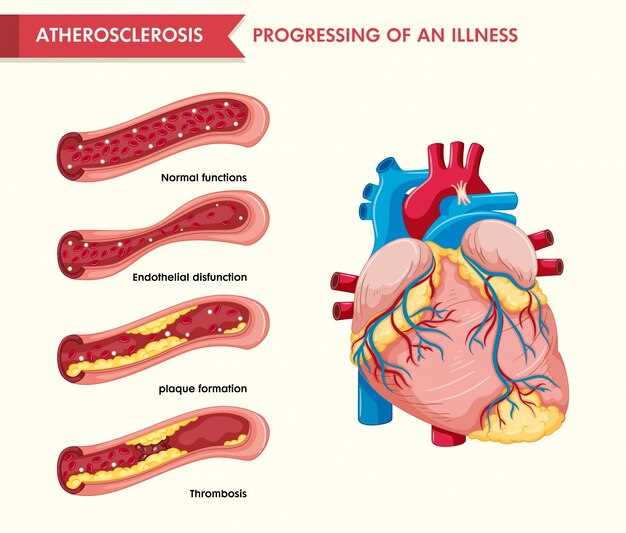 Артерия: переносчик крови к органам и тканям