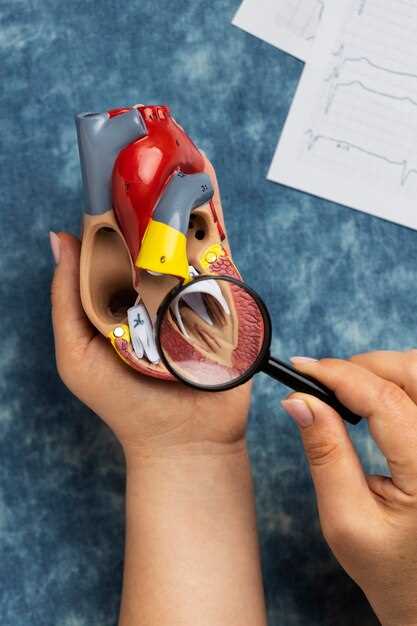 Аорта: основной артериальный сосуд организма