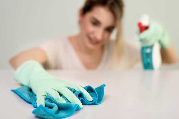 Тема 1: Популярные домашние способы почистить лакуны на кухонных поверхностях