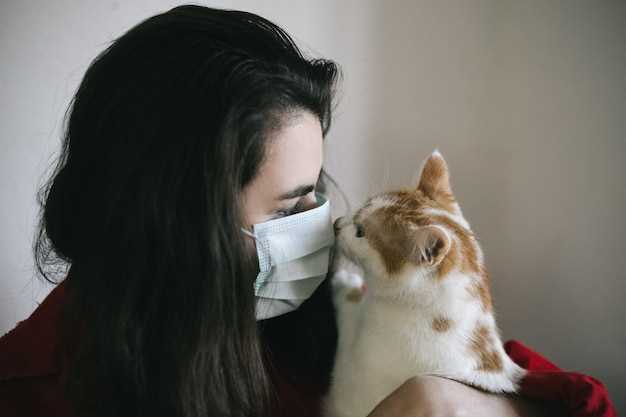 Болезни, передающиеся от кошек на человека
