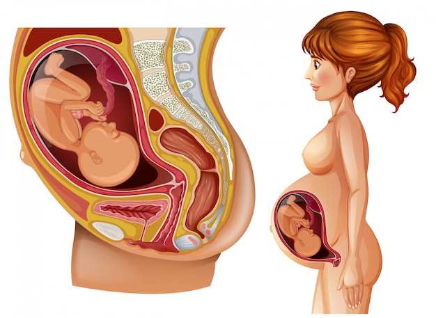 Методы диагностики и лечения заболеваний печени у женщин