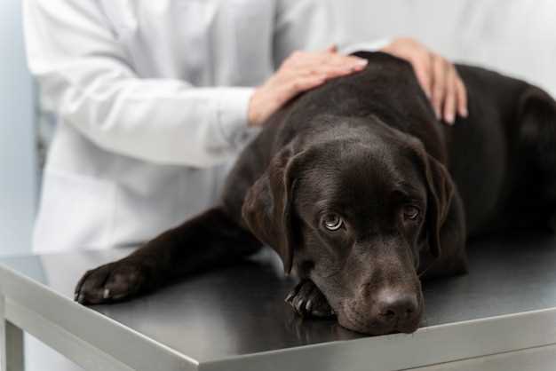 Что такое пса и как он связан с раком простаты?