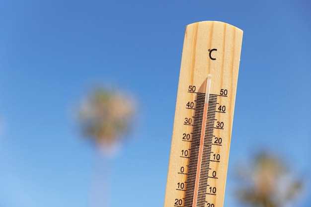 Температура тела и жара: как они влияют на человека
